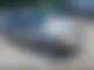 Vehicle Image- 2001 Honda Civic