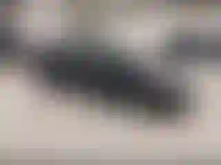 Vehicle Image- 2004 Honda Civic
