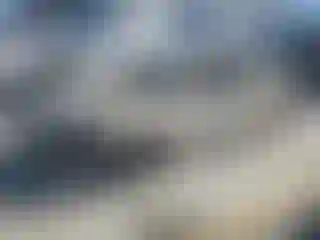 Vehicle Image- 2004 Honda Civic