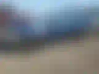 Vehicle Image- 2005 Honda Civic