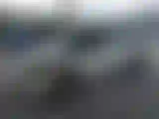 Vehicle Image- 2005 Honda Civic