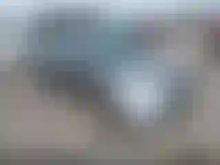 Vehicle Image- 2005 Honda Civic