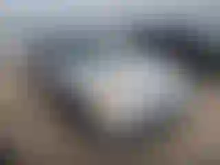 Vehicle Image- 2002 Honda Civic