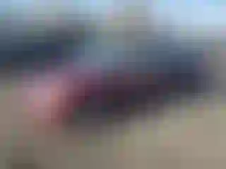 Vehicle Image- 2003 Honda Civic