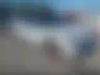 Vehicle Image- 2002 Honda Civic