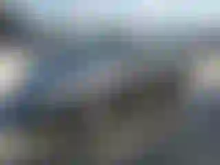Vehicle Image- 2005 Honda Civic