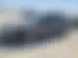 Vehicle Image- 2004 Honda Civic