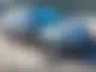 Vehicle Image- 2001 Honda Civic