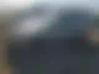 Vehicle Image- 2002 Honda Civic