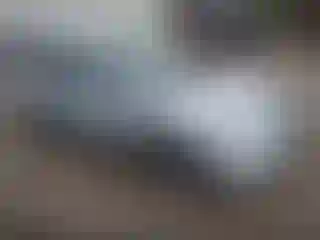 Vehicle Image- 2004 Honda Civic