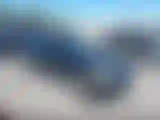 Vehicle Image- 2002 Honda Civic