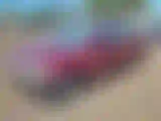 Vehicle Image- 2004 Honda Civic