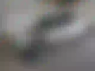 Vehicle Image- 2005 Honda Civic