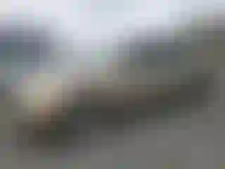 Vehicle Image- 2003 Honda Civic