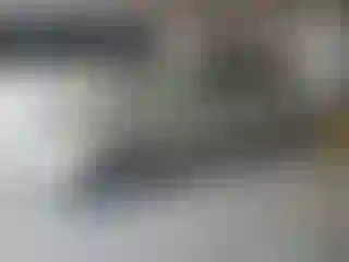 Vehicle Image- 2003 Honda Civic