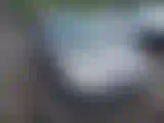 Vehicle Image- 2005 Honda Civic