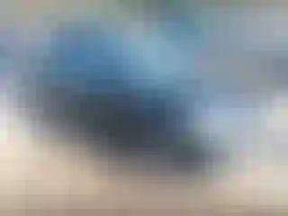 Vehicle Image- 2004 Honda Civic