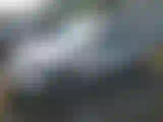 Vehicle Image- 2003 Honda Civic