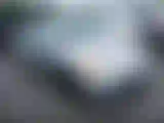 Vehicle Image- 2003 Honda Civic