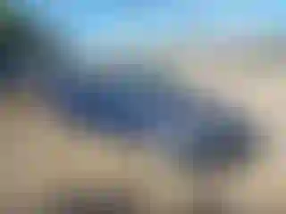 Vehicle Image- 2003 Honda Civic