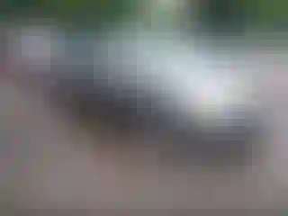 Vehicle Image- 2004 Honda Civic