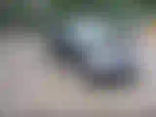 Vehicle Image- 2002 Honda Civic