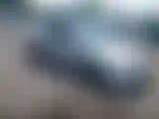 Vehicle Image- 2004 Honda Civic