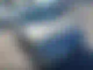 Vehicle Image- 2004 Honda Civic