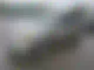 Vehicle Image- 2001 Honda Civic