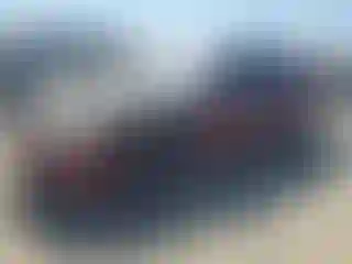 Vehicle Image- 2002 Honda Civic