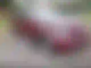 Vehicle Image- 2004 Honda Civic