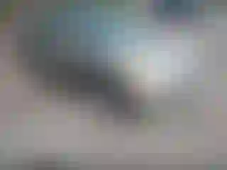 Vehicle Image- 2002 Honda Civic
