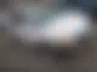 Vehicle Image- 2003 Honda Civic