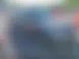 Vehicle Image- 2004 Honda Civic