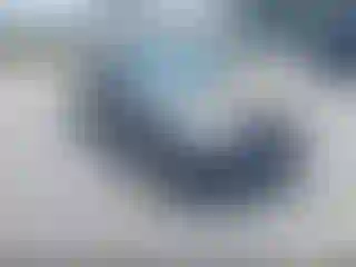Vehicle Image- 2004 Honda Civic