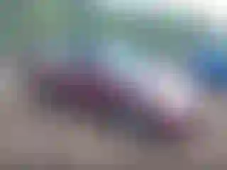 Vehicle Image- 2004 Honda Civic