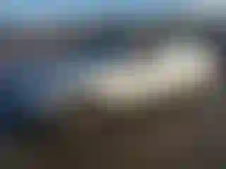 Vehicle Image- 2003 Honda Civic