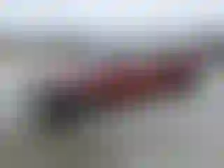 Vehicle Image- 2002 Honda Civic