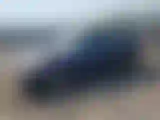 Vehicle Image- 2005 Honda Civic