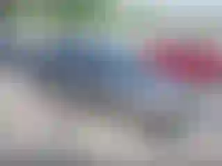 Vehicle Image- 2005 Honda Civic