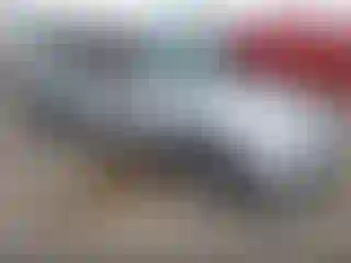 Vehicle Image- 2004 Honda Civic