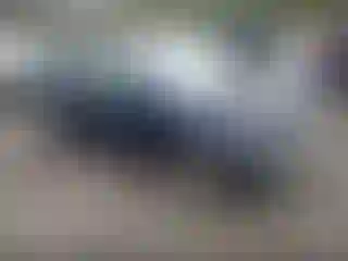 Vehicle Image- 2009 Honda Civic