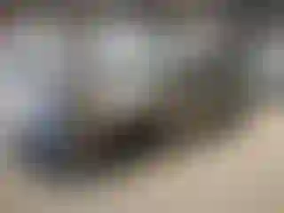 Vehicle Image- 2008 Honda Civic