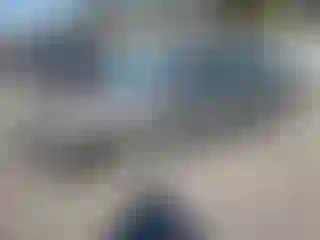 Vehicle Image- 2008 Honda Civic