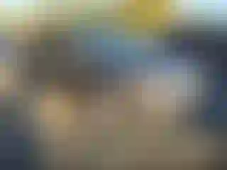 Vehicle Image- 2006 Honda Civic