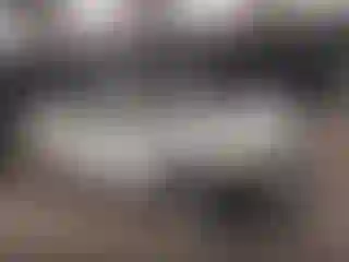 Vehicle Image- 2007 Honda Civic