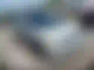 Vehicle Image- 2008 Honda Civic