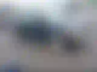 Vehicle Image- 2008 Honda Civic