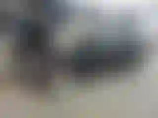 Vehicle Image- 2008 Honda Civic