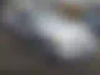 Vehicle Image- 2007 Honda Civic